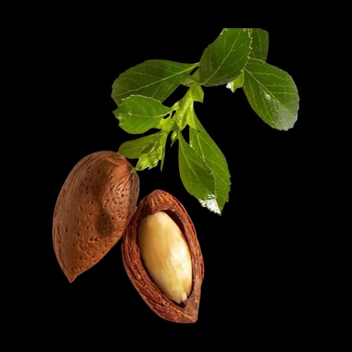 Jojoba Oil